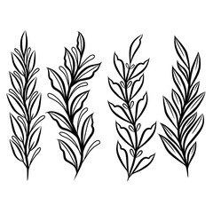 Minimalist Ornament Floral Invitation