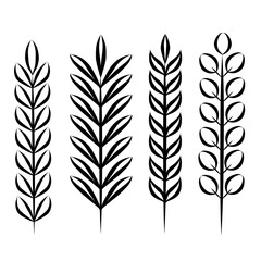 Set of black and white floral elements vector illustration, line drawn for border, divider or invitation