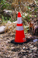 Traffic cone in a forest