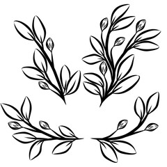 Set of floral elements vector illustration, minimalist botanical line drawn 