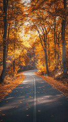 Obraz premium Beautiful autumn scene, country road with fallen leaves on the sides