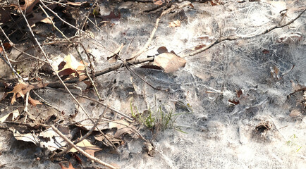 Ice on frozen creek water of ground during cold winter season weather.