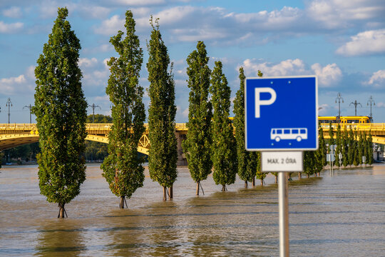 Budapest, Hungary - September 19, 2024: Submerged Trees Along the Danube River as Budapest Faces Flooding After Storm 'Boris'.