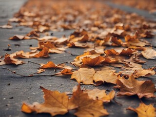 fallen autumn leaves