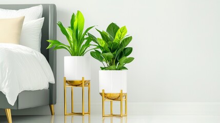 Stylish Indoor Plants in Modern Bedroom Setting