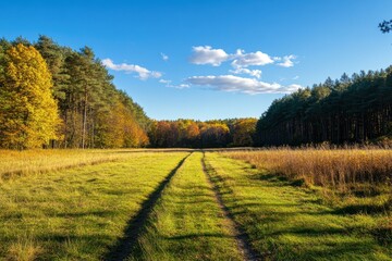 Naklejka premium Serene Autumn Landscape with Grassy Path and Colorful Trees for Outdoor Activities and Wellness Retreats - Tranquil Nature Scenery for Relaxation and Eco-Tourism