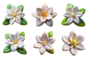 Naklejka premium PNG jasmine flower 3d collection, in cartoon style minimal on transparent, white background, isolate 
