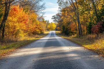 Vibrant Autumn Road with Colorful Fall Foliage and Clear Blue Sky - Scenic Landscape for Travel and Tourism Marketing