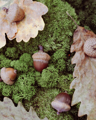 Autumn 