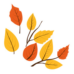 Vector autumn yellow dry alder leaves. Flat illustration with brown plants for design