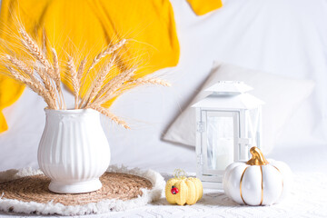 autumn still life on a white background. A vase with ears of corn, a yellow sweater on the back of the sofa