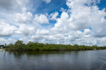The mangroves of Fullerton Island in Jupiter, Florida, USA © Rob