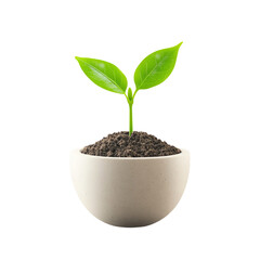 Green seedling growing in soil, white isolated background transparent background