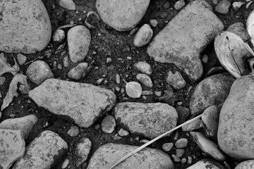 Autumn sunshine along the Susquehanna River bank on our walk 