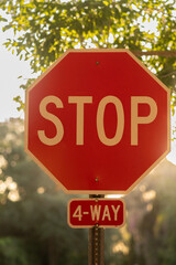 Stop sign surrounded by trees at sunset in the USA