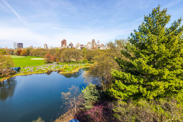 Fototapeta premium Aerial view of Central Park with people enjoying sunny spring day near lake, seen from Belvedere Castle in Manhattan.