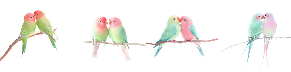 Pair of lovebirds perched on a branch, soft pastel hues, watercolor styles