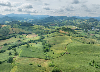 The biggest cause of forest loss is agricultural deforestation ,environmental damage in Southeast Asia , global warming and environment.