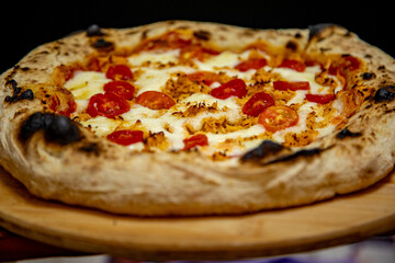 Traditional Brazilian artisan chicken pizza with catupiry cheese. Frango com catupiry