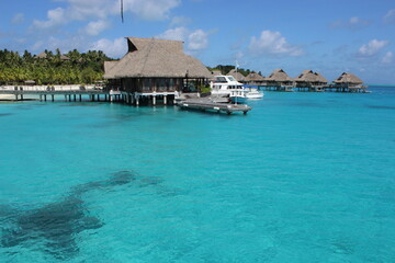 bungalow in bora bora