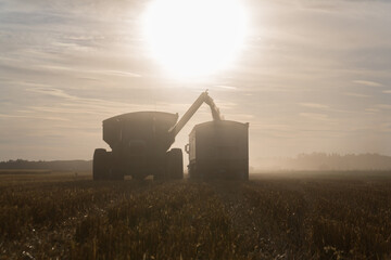 Silhouette of a combine harvester unloading grain