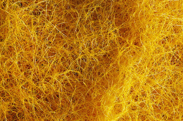 A close up image of the the parasitic plant called dodder