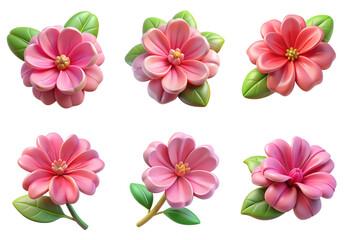 Fototapeta premium PNG geranium flower 3d collection, in cartoon style minimal on transparent, white background, isolate 