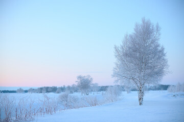 Obraz premium 霧氷