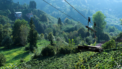 Fototapety na wymiar - Fototapeta24.pl