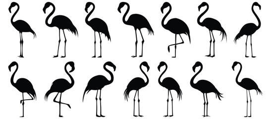 Flamingo silhouette set vector design big pack of bird illustration and icon