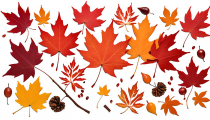  cut autumn out red falling maple leaves tree autumn leaf maple maple leaf falling flying isolated red falling leaves vertical levitation cut-out cut-out autumn foliage autumn leaf colourful fall