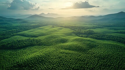 Obraz premium Aerial View of Lush Green Hills at Sunset