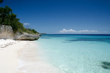 Obraz premium Tropical beach with white sand and crystal clear turquoise water on a sunny day