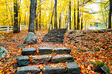 Trails near the Kingsmere lake on scenic and historic Mackenzie King estate,the residence of former Canadian prime minister,Mackenzie King with fallen autumn leaves at Gatineau Park,Quebec,Canada