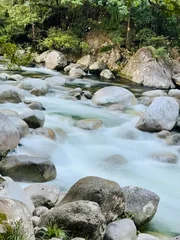 mountain river in the forest