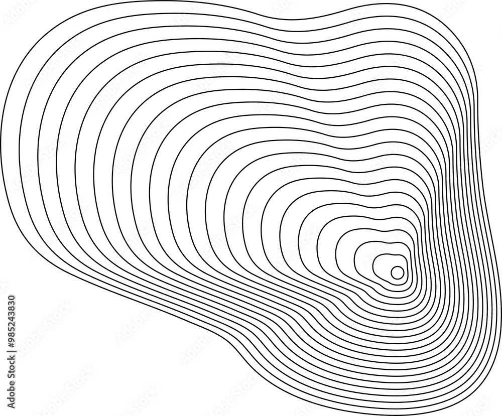 Poster dynamic lines fluid forms. modern design elements