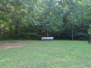 bench in the park