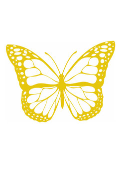 Butter fly