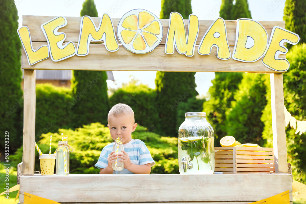 Wall mural Cute little boy with refreshing drink at lemonade stand in park