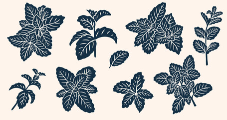 Realistic Mint Leaves or Mint Leaf Peppermint, for  Mint Flavour Herb Botanical in Vector Illustration © kawacreative
