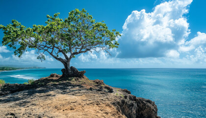 Puerto Rico, Puerto Rico Island Landscape, Tropical Vacation Getaway, Caribbean Island