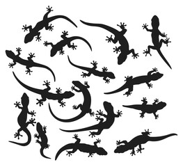 Fototapeta premium Creeping lizard silhouette illustration, Reptile animal vector