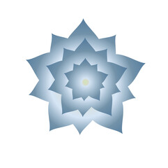 Various design flowers petals