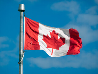 The Canadian flag, a symbol of national pride, waves proudly in the wind against a clear blue sky. The iconic red maple leaf stands out against the white center, representing unity and diversity.