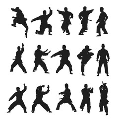 Illustration of the silhouette of a martial arts person's movement, vector sport fighter
