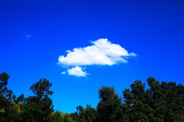 青空と白い雲と緑の木