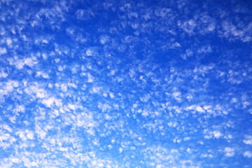 青空に広がる秋の雲