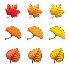 Obraz premium 紅葉の葉っぱ集