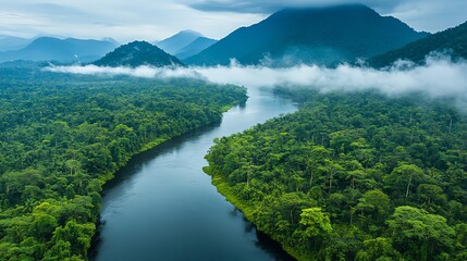 Aerial view of a river winding through a lush green rainforest with mountains in the background.