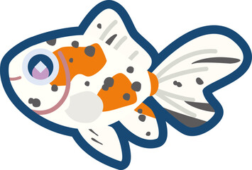 かわいい金魚（オーロラ）のイラスト	